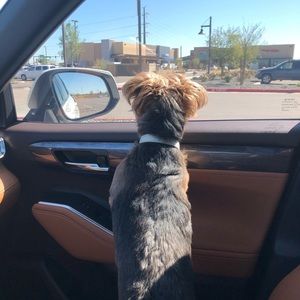 Meet your Posher, Brian